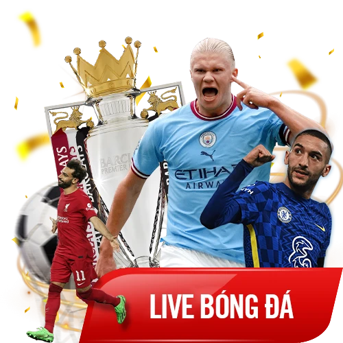 Live bóng đá cập nhật rõ ràng